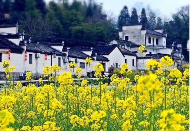Xishan Wutong Qinyuan Huang Shan Eksteriør bilde