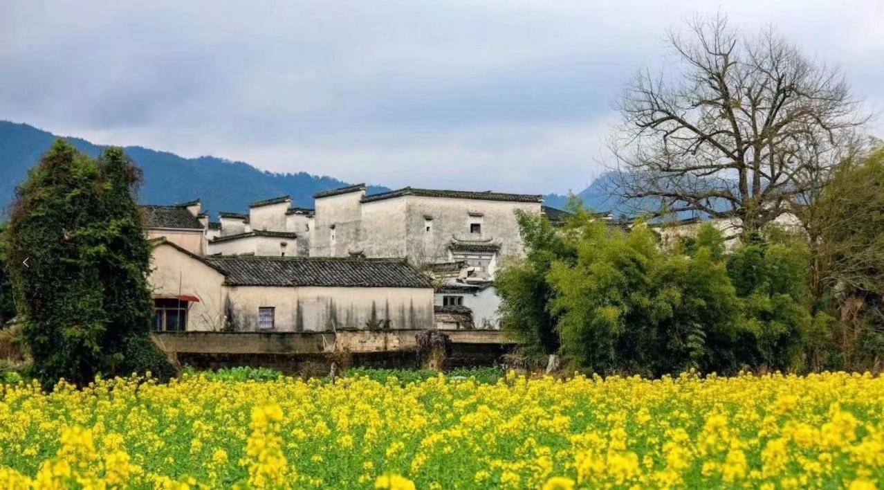 Xishan Wutong Qinyuan Huang Shan Eksteriør bilde