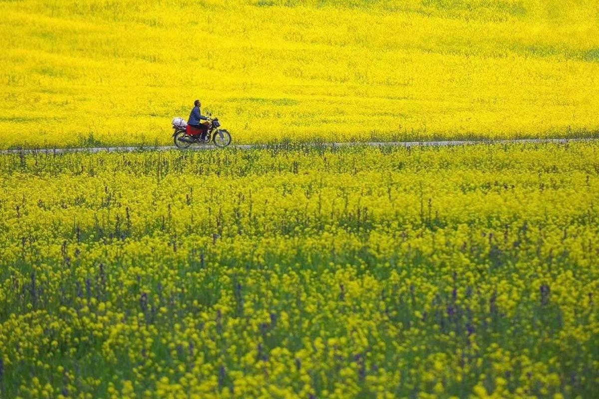 Xishan Wutong Qinyuan Huang Shan Eksteriør bilde